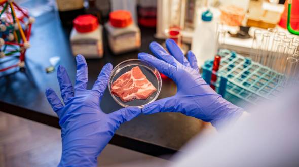 China’s Quest for Alternative Proteins