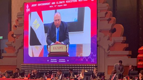 Money pledged but not delivered: Egyptian Foreign Minister Sameh Shoukry (shown addressing a G20 climate conference in August) says that countries at COP27 “have the power to make a positive change via funding” (Credit: COP27 Presidency) 