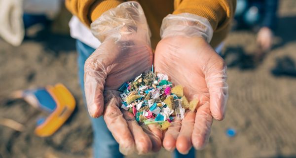 Plastic Waste and the Fish Dilemma in Indonesia: To Eat – or Not to Eat
