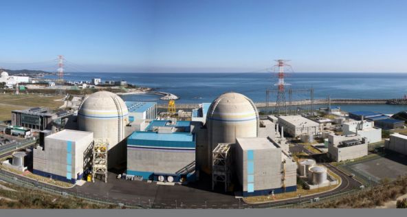 Exaggeration of the Risk of Nuclear Energy Prevents Smart Choices