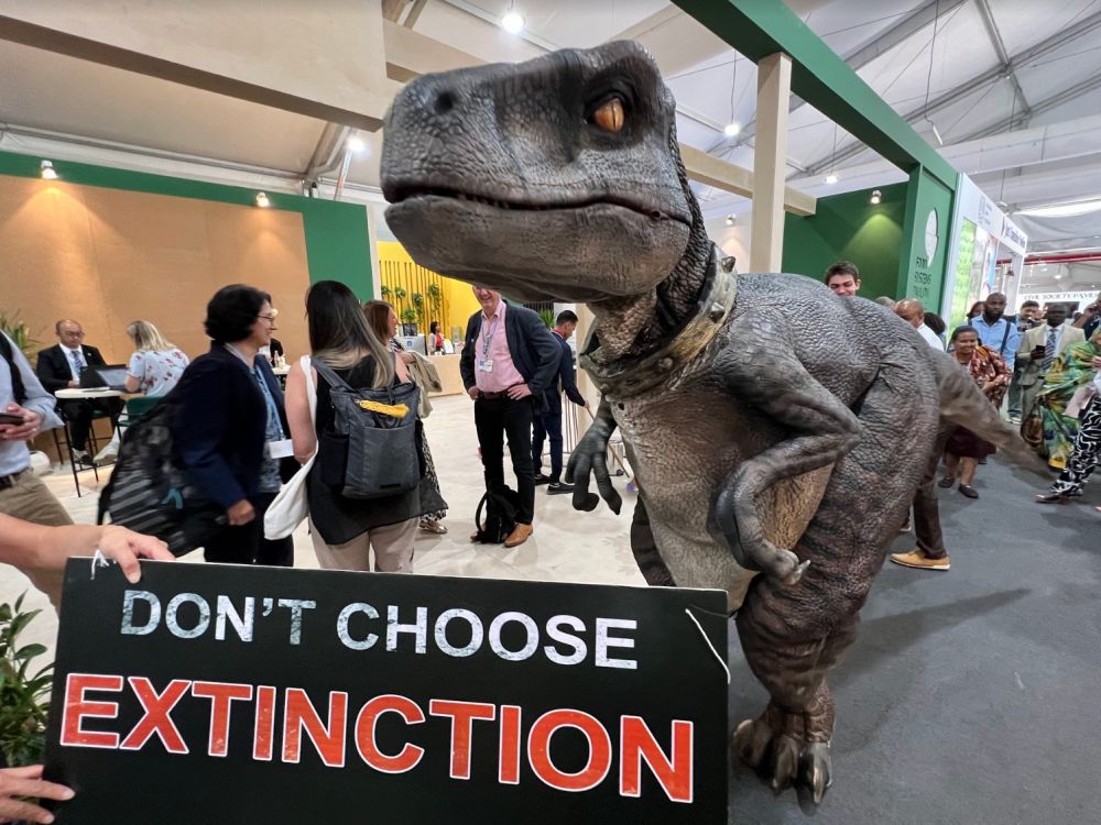 Lessons from Countries Leading the Coal Exodus: Silos are Holding Back the Energy Transition