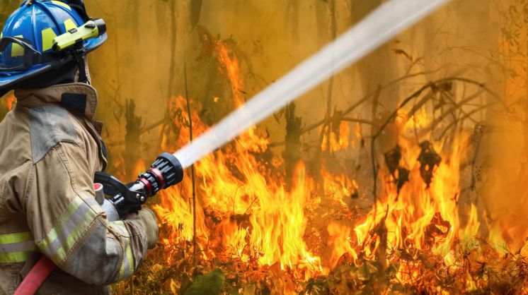 Rising from the Ashes: How Australia Should Combat Climate Change
