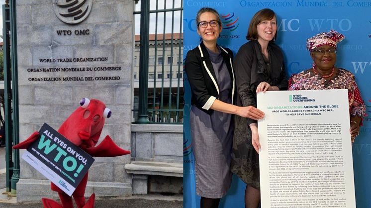 Can the World Trade Organization be Reformed?