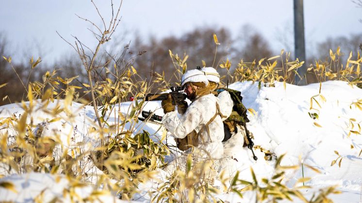 Rethinking US Alliances and Partnerships as Insurance Contracts