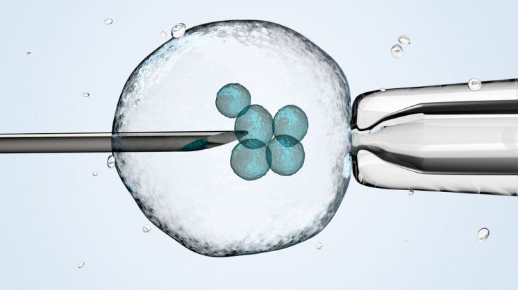 Should Governments Legalize Three-Parent Babies?