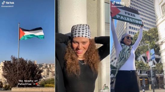 Screenshots of TikTok clips posted by young Palestinian activists: Users have skillfully highlighted the rich legacy of their culture (Credit: Muslim Millennials on YouTube)