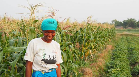 Agricultural Subsidies and Climate Change: A Policy Reflection from Africa