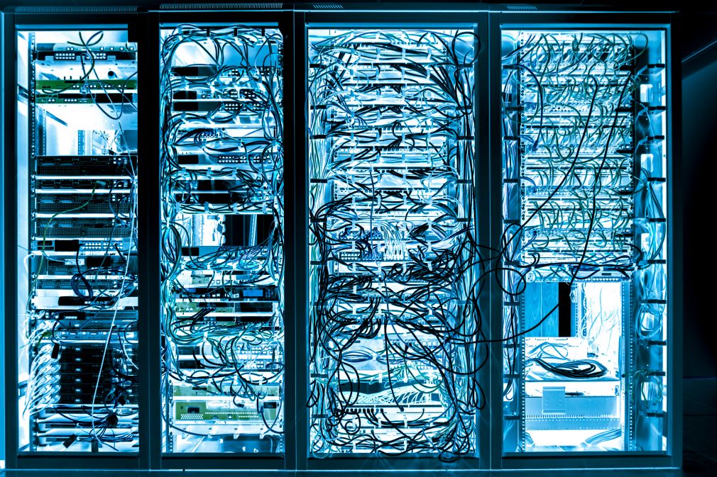 Credit: Tommy Lee Walker / Shutterstock.com