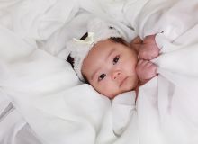 Understanding the Low Birth Rate