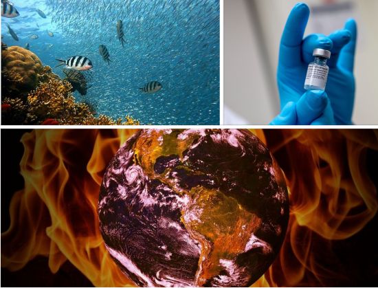 The global trade agenda is long – and growing: Fisheries, vaccines and climate change are among the priorities of WTO members (Credit: top left, @WTO on Twitter; top right, Lisa Ferdinando/US Department of Defense; and bottom, Darwin Laganzon/Pixabay)