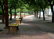 Redesign City Parks During the Pandemic