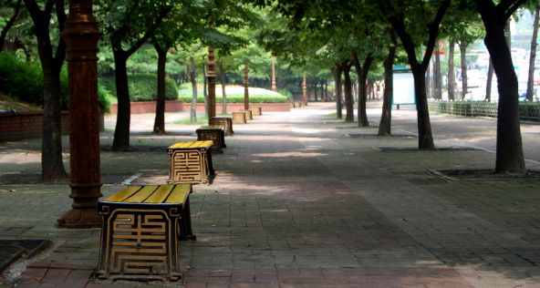 Redesign City Parks During the Pandemic