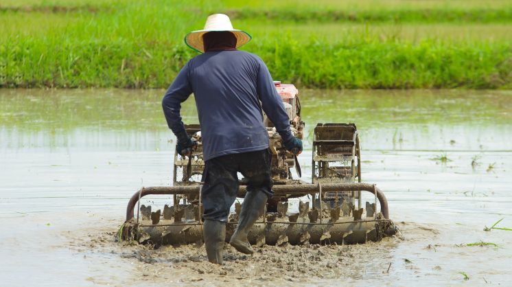 ASEAN’s Urgent Food-Security Imperative